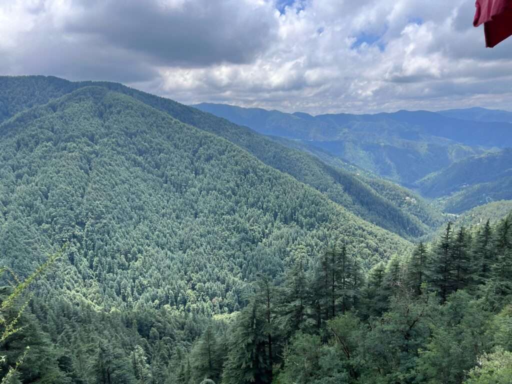 The Green Valley - Shimla